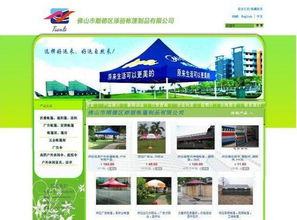 專業(yè)網站建設與定制 構建您的數字化門戶